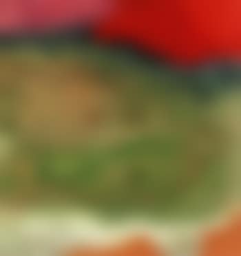 Devil's mist (preview)