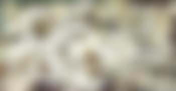 Composition (preview)