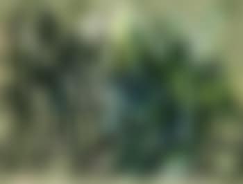 Green landscape (preview)