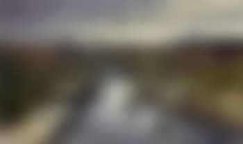 Red grouse crossing a burn, Rannoch Moor (preview)