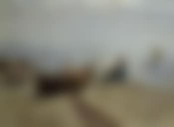Marine (preview)