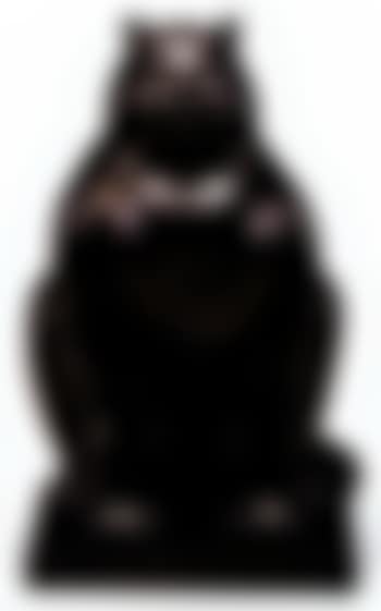 Cat (preview)