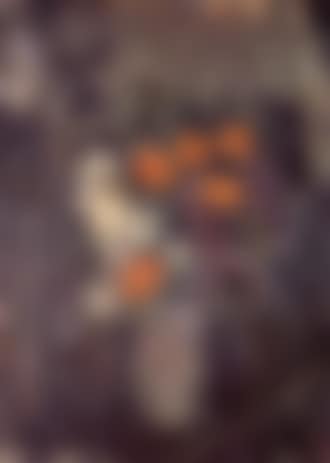 Fleurs dans un pot gris (preview)
