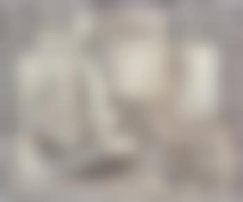 Nature morte blanche (preview)