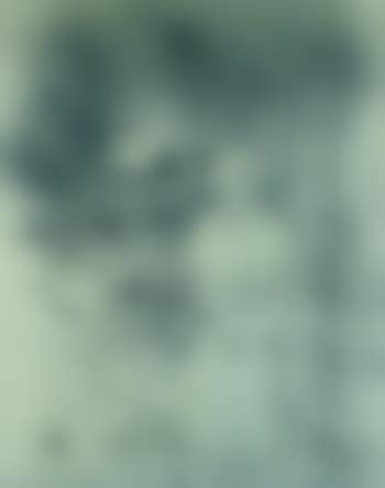 Le Tocsin (preview)