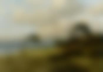 Ostsee coast (preview)