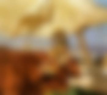 Sol de latarde, playa de Valencia - evening sun, Valencia Beach (preview)
