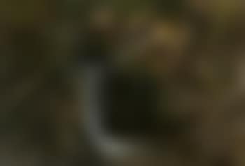 Waterfall in Morgenbach, Germany (preview)