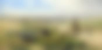 A spring morning (preview)