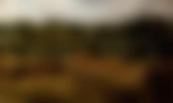 Kensington gravel pits (preview)