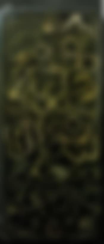 Lion (preview)