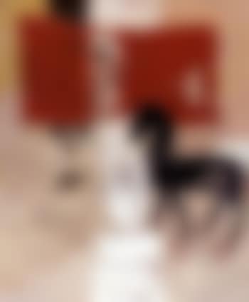 Toy (preview)