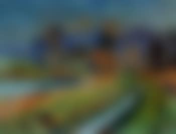Gronings landscape (preview)