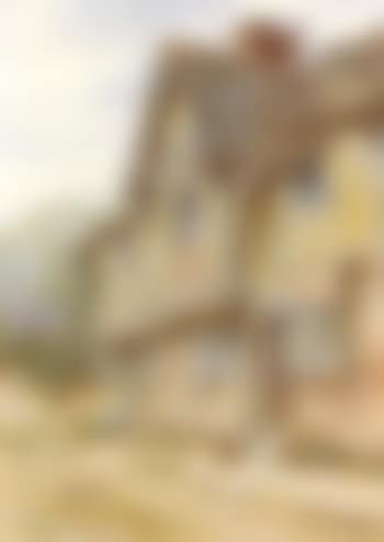 Still life (preview)