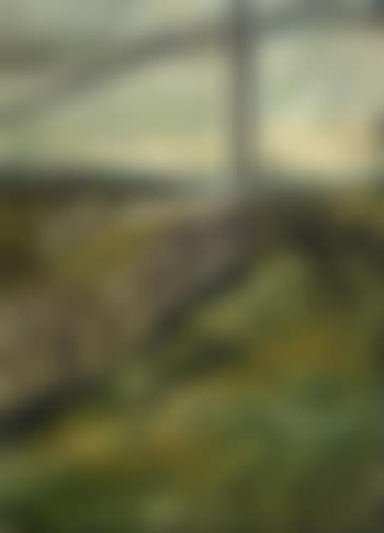 Grass to the gate at Birling Gap (preview)