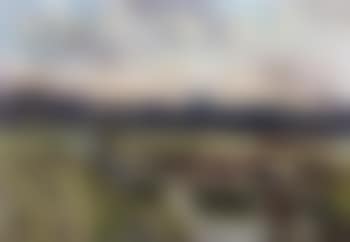 Cows drinking in a brook (preview)