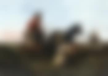 Trappers following the trail, at fault (preview)