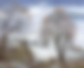 Winter landscape (preview)