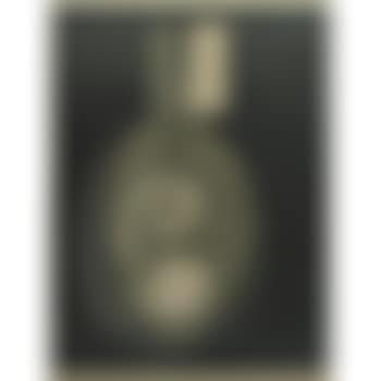 Untitled - Rayograph with lock of hair (preview)