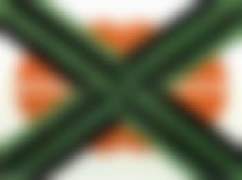 Composition verte et orange 2 (preview)