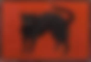 Chat noir (preview)