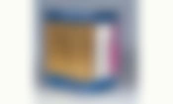 Catalogue raisonne des editions et sculptures (preview)