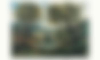 Petit pont (preview)