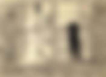 Black cat at the window (preview)