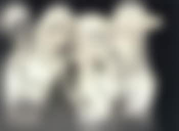 Schoolgirls (preview)
