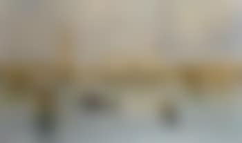 Venice (preview)