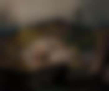 Still morning (preview)