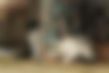 Hide and seek (preview)