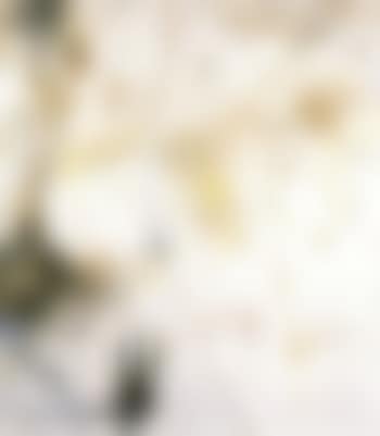 Ostrich (preview)
