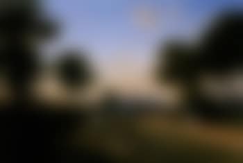 On the road to Warwick (preview)