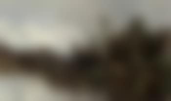 Man in rowing boat on lake (preview)