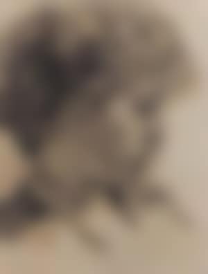 Boy's portrait (preview)