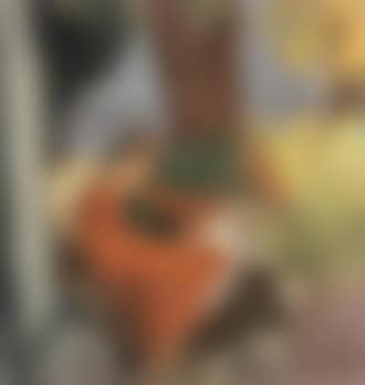 Woman with red shawl (preview)