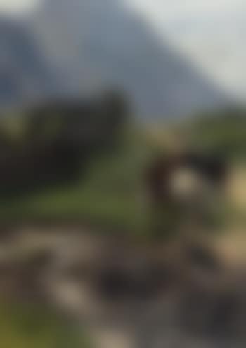 Animals on path down from mountain pasture (preview)
