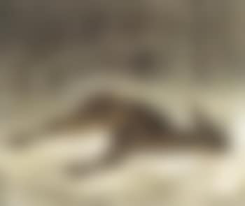 Hunting scene (preview)