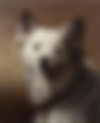 Portrait of dog (preview)