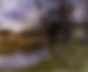 Vaches au paturage (preview)