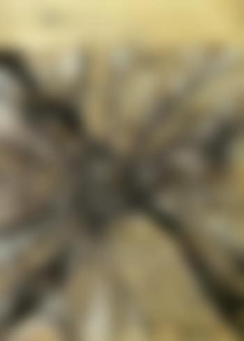Homage to Betuda (preview)