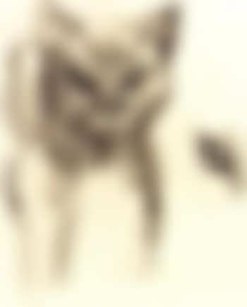 Katze (preview)