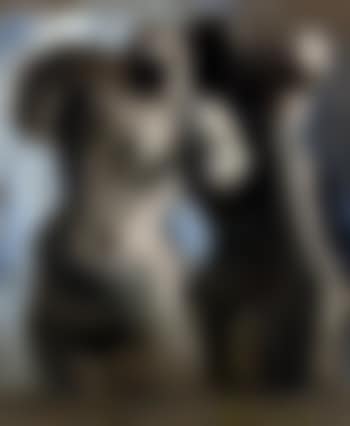 Two female torsos (preview)