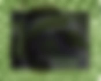 David's pool (preview)
