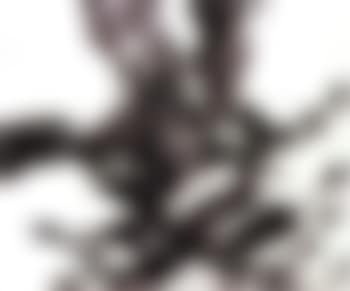 Composition (preview)