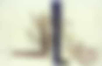 P.53.40 (preview)
