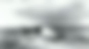 Cattle and drover in landscape (preview)
