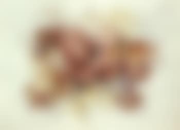 Horse galloping (preview)