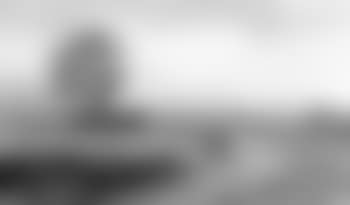 Shepherd and sheep in an extensive landscape (preview)